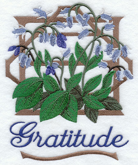 Bluebells - Gratitude