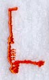 Skeleton Letter L - 1 3/4 Inch