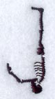 Skeleton Letter J - 1 3/4 Inch