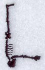 Skeleton Letter L - 1 3/4 Inch