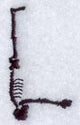 Skeleton Letter L - 1 3/4 Inch