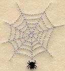 Spider & Web