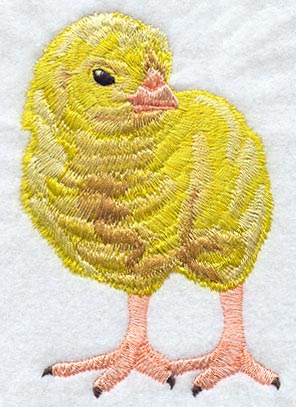 Spring Chick