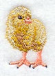 Spring Chick