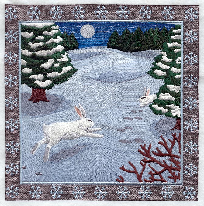 Snowshoe Hare Square