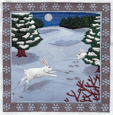 Snowshoe Hare Square