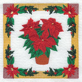 Poinsettia Square