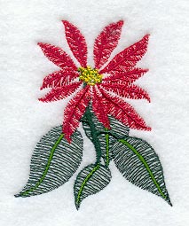 Sheer Poinsettia