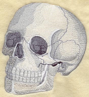 Skull