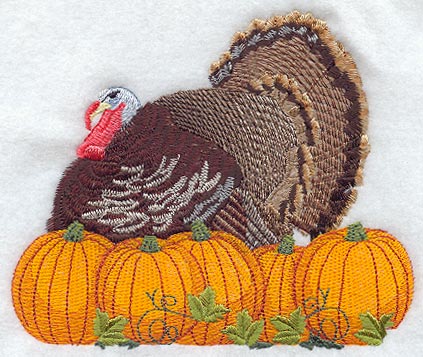Turkey & Pumpkins