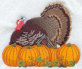 Turkey & Pumpkins