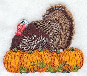 Turkey & Pumpkins