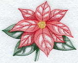 Sheer Poinsettia II