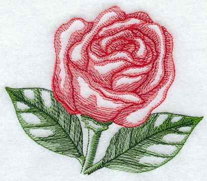 Sheer Rose (Cardstock)