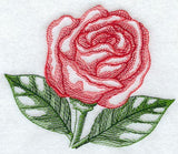 Sheer Rose (Cardstock)