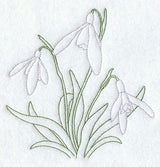 Snowdrops (Vintage)