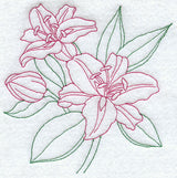 Stargazer Lily (Vintage)