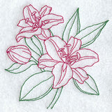 Stargazer Lily (Vintage)