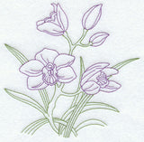 Cymbidium Orchid (Vintage)