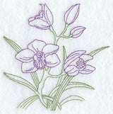 Cymbidium Orchid (Vintage)