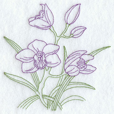 Cymbidium Orchid (Vintage)