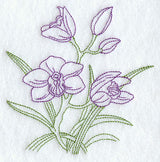 Cymbidium Orchid (Vintage)