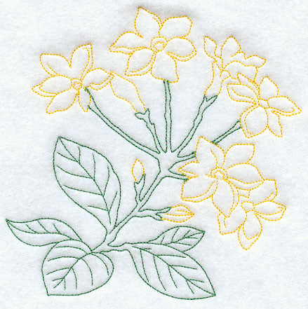 Winter Jasmine (Vintage)