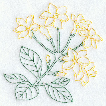 Winter Jasmine (Vintage)