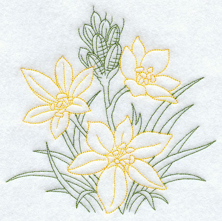 Star of Bethlehem (Vintage)