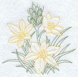 Star of Bethlehem (Vintage)