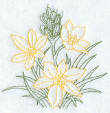 Star of Bethlehem (Vintage)
