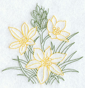 Star of Bethlehem (Vintage)