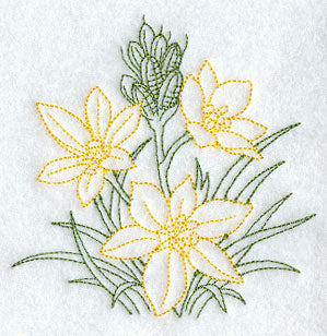 Star of Bethlehem (Vintage)