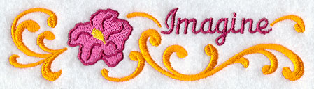 Hibiscus Border - Imagine