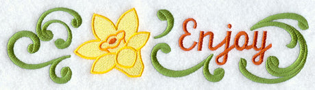 Daffodil Border - Enjoy