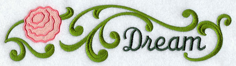 Carnation Border - Dream