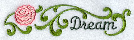 Carnation Border - Dream