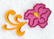 Hibiscus Accent