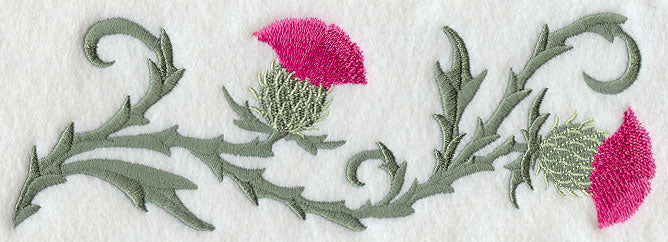 Blooming Thistles Border