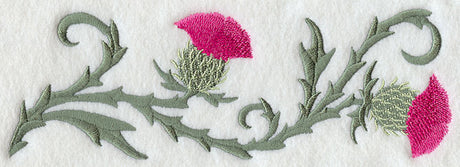 Blooming Thistles Border