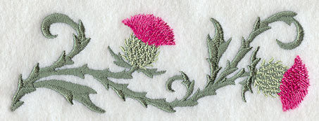 Blooming Thistles Border