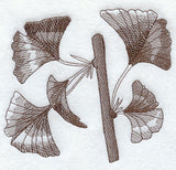 Glorious Ginkgo Leaves 1