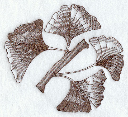 Glorious Ginkgo Leaves 2