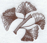 Glorious Ginkgo Leaves 2