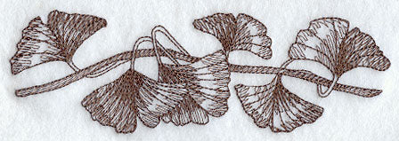 Glorious Ginkgo Border