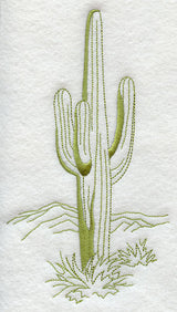 Old West Quick-Stitch Cactus