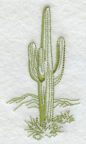 Old West Quick-Stitch Cactus