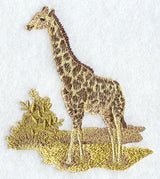 Sepia Safari Giraffe