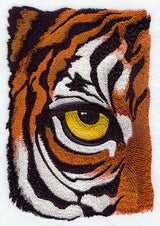 Eye of the Tiger