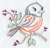 Baltimore Oriole (Vintage)